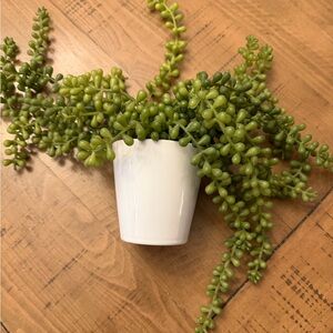 West Elm Faux Drippy String of Pearls Green Succulent Plant in White Vase